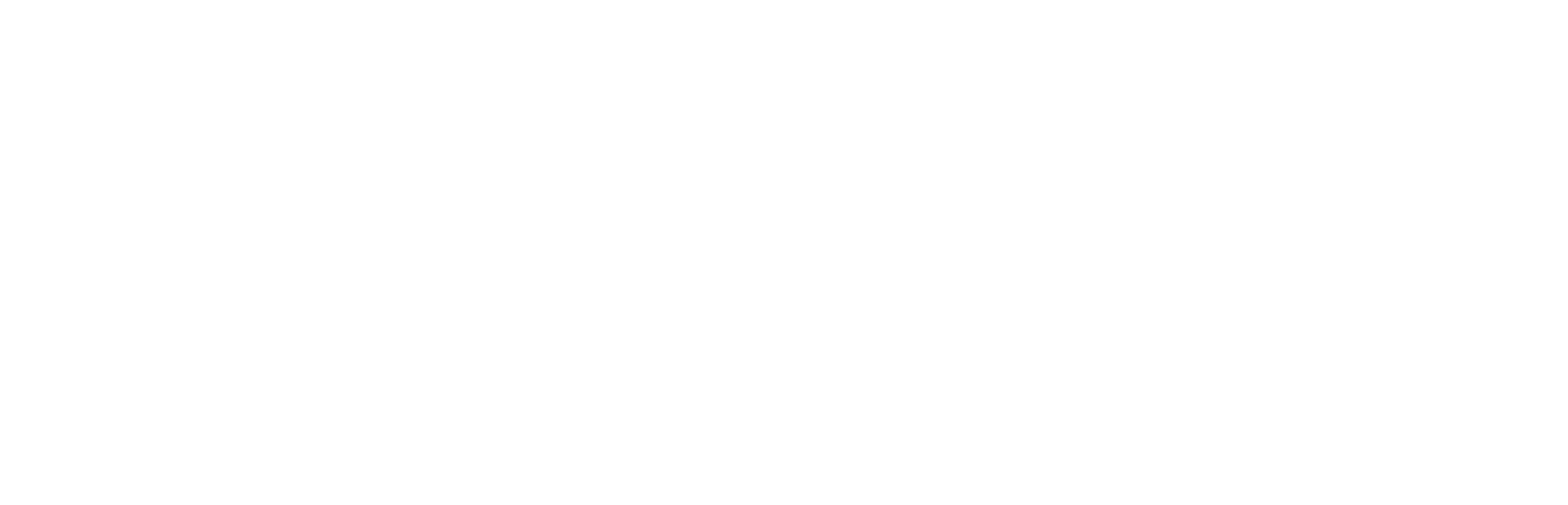 Borgerswold Experience